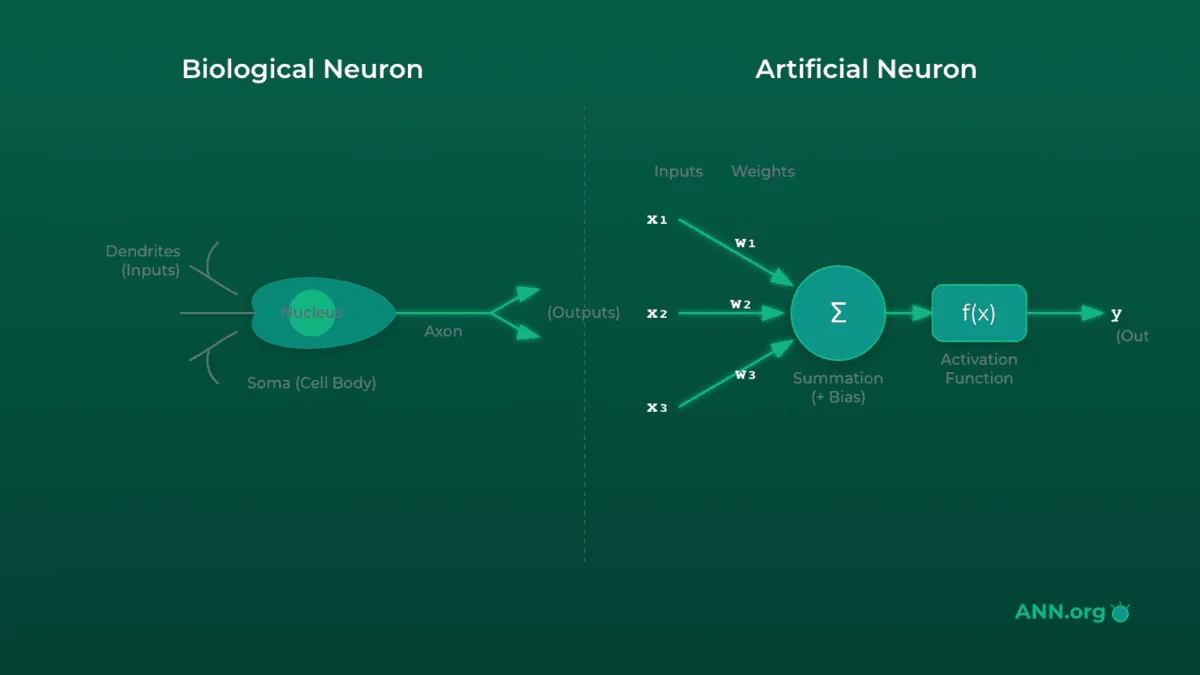 What is a Neural Network Explained: Beginner's Tutorial 2025